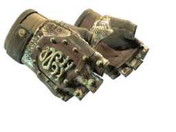 ★ Hydra Gloves | Rattler (Well-Worn)
