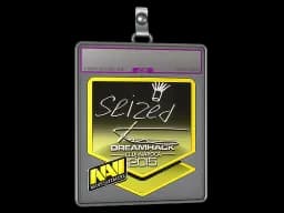 Sticker Slab | seized (Foil) | Cluj-Napoca 2015