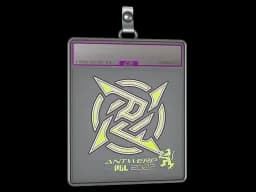 Sticker Slab | Ninjas in Pyjamas (Holo) | Antwerp 2022