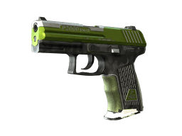 P2000 | Turf (Field-Tested)