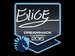 EliGE | Cluj-Napoca 2015