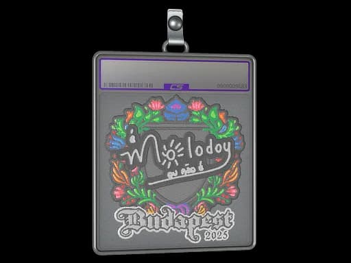 Sticker Slab | molodoy (Embroidered) | Budapest 2025