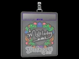 Sticker Slab | molodoy (Embroidered) | Budapest 2025