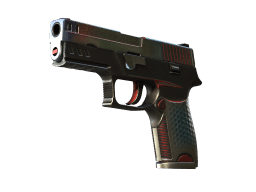 P250 | Cyber Shell (Field-Tested)