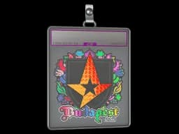 Sticker Slab | Astralis (Holo) | Budapest 2025