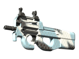 P90 | Glacier Mesh (Factory New)