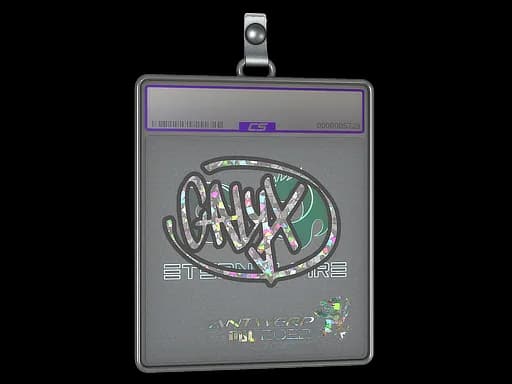 Sticker Slab | Calyx (Glitter) | Antwerp 2022