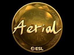 Aerial - CS2 Skin Prices