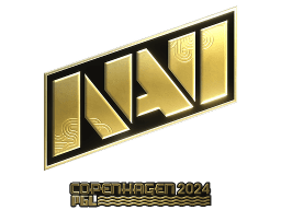 Natus Vincere (Gold) | Copenhagen 2024