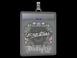 Sticker Slab | esenthial | Budapest 2025