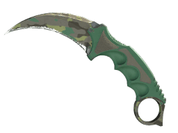 ★ Karambit | Boreal Forest (Field-Tested)