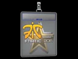 Sticker Slab | Fnatic | Cluj-Napoca 2015