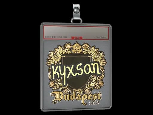 Sticker Slab | kyxsan (Gold) | Budapest 2025