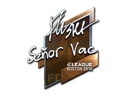 Sticker | flusha (Foil) | Boston 2018