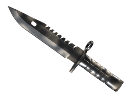 ★ M9 Bayonet | Scorched (Minimal Wear)