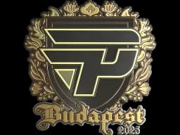 Sticker | paiN Gaming (Gold) | Budapest 2025