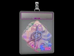 Sticker Slab | degster (Holo) | Rio 2022