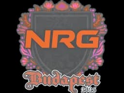 Sticker | NRG | Budapest 2025