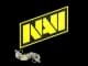 Sticker | Natus Vincere | Paris 2023 CS2 skin