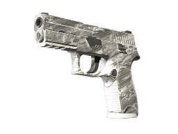 P250 | Sleet (Minimal Wear)