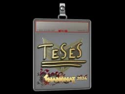 Sticker Slab | TeSeS (Gold) | Shanghai 2024