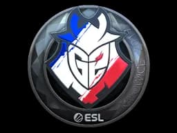 Sticker | G2 Esports (Foil) | Katowice 2019