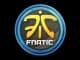 Sticker | Fnatic | Cologne 2014 CS2 skin
