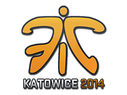 Fnatic | Katowice 2014