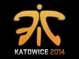 Fnatic | Katowice 2014
