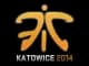 Sticker | Fnatic | Katowice 2014 CS2 skin