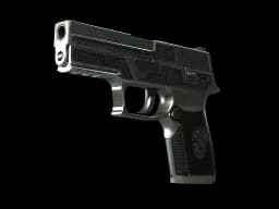 StatTrak™ P250 | Cartel (Well-Worn)