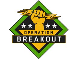 The Breakout Collection - CS2 Collection Prices