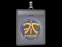 Sticker Slab | Fnatic (Holo) | Cologne 2014