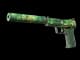 USP-S | Tropical Breeze CS2 skin