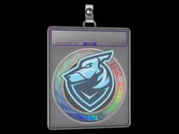 Sticker Slab | Grayhound Gaming (Holo) | Katowice 2019