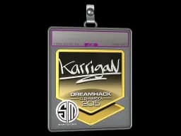 Sticker Slab | karrigan (Foil) | Cluj-Napoca 2015