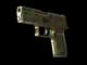 P250 | Verdigris CS2 skin