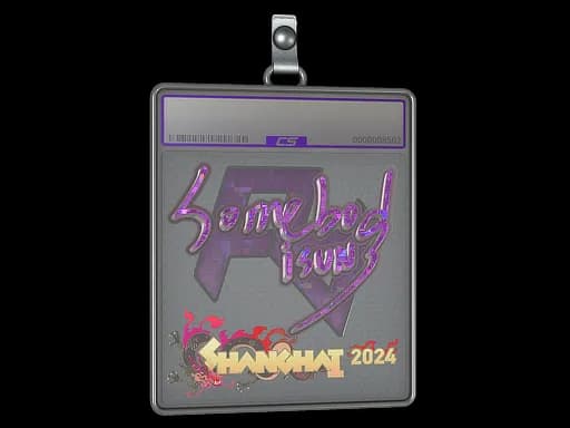 Sticker Slab | somebody (Glitter) | Shanghai 2024