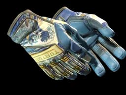 ★ Specialist Gloves | Big Swell (Minimal Wear)