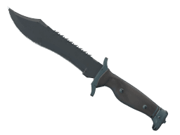 ★ StatTrak™ Bowie Knife | Night (Field-Tested)