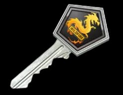 Operation Wildfire Case Key