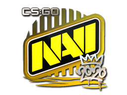 Sticker | Natus Vincere | 2020 RMR