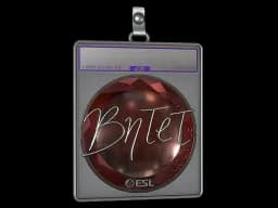 Sticker Slab | BnTeT (Foil) | Katowice 2019