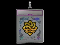 Sticker Slab | Legacy (Holo) | Austin 2025