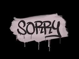 Sealed Graffiti | Sorry (War Pig Pink)