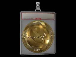 Sticker Slab | aumaN (Gold) | Katowice 2019