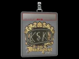 Sticker Slab | kyousuke (Gold) | Budapest 2025