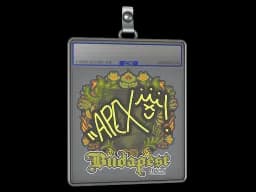 Sticker Slab | apEX | Budapest 2025