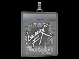 Sticker Slab | Lucaozy | Budapest 2025