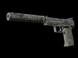 USP-S | Pathfinder CS2 skin